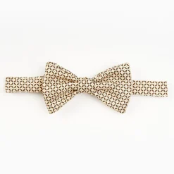 Beige Pre-Knotted Silk Bowtie - Small Geometric Pattern