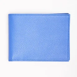 Bluette Hammered Leather Horizontal Wallet