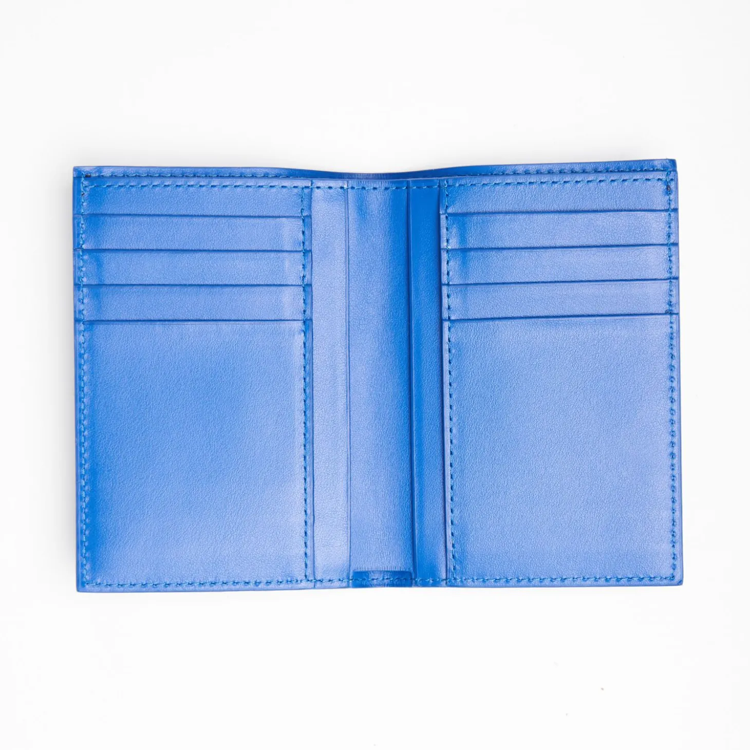 Bluette Leather Vertical Wallet