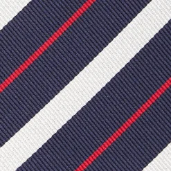 Dark Blue Sartorial Striped Silk Tie