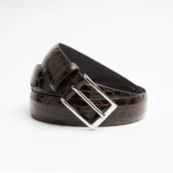 Dark Chocolate Belt In Alligator