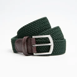 Dark Green Woven Stretch Bel With Alligator Trims