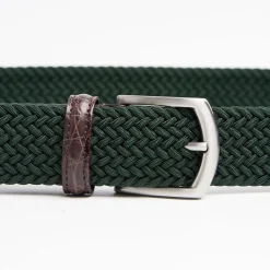 Dark Green Woven Stretch Bel With Alligator Trims
