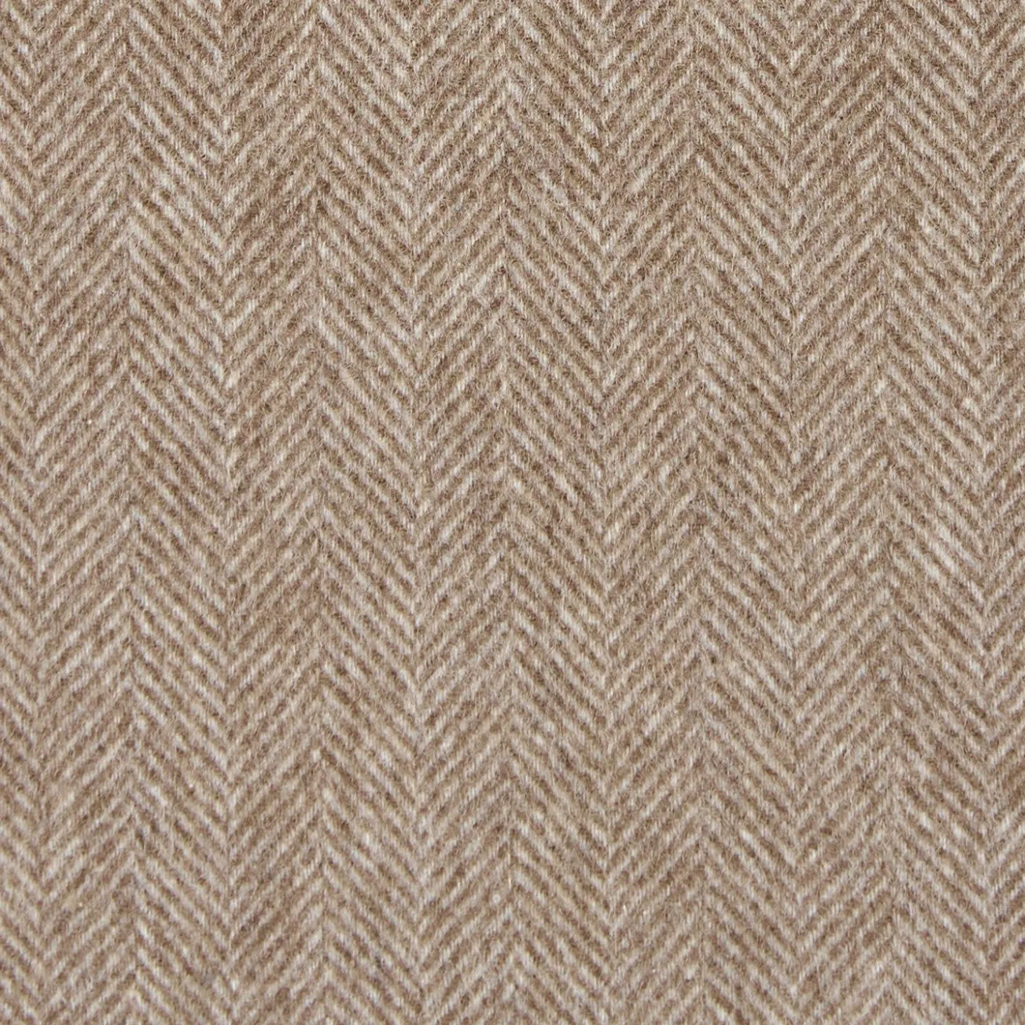 Light Brown Cashmere Fringed Scarf
