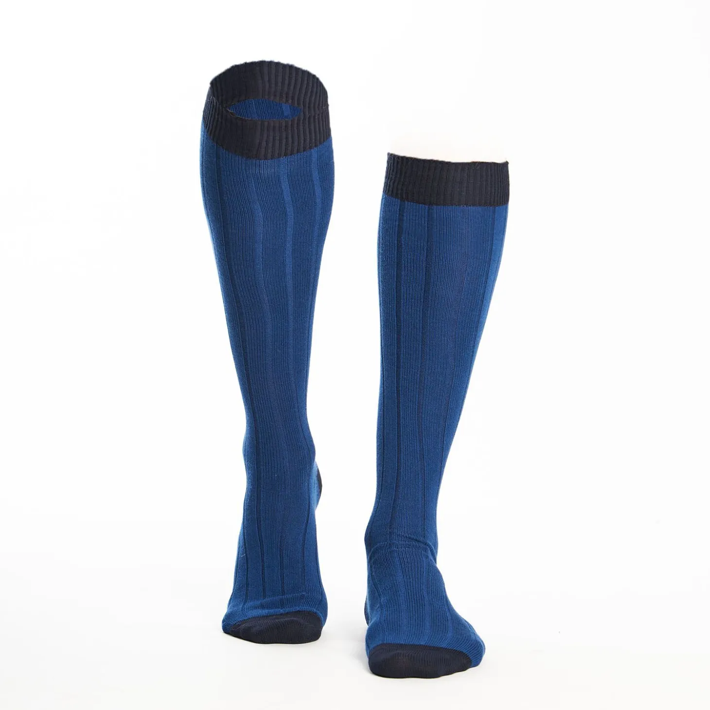 Long Bluette And Blue Bicolor Cotton Socks - Solid Color