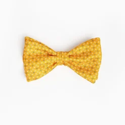 Orange Pre-Knotted Silk Bowtie Small Geometric Pattern