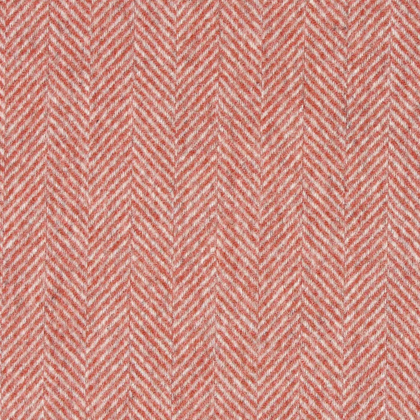 Red Cashmere Fringed Scarf