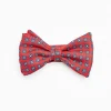 Red Pre-Knotted Bowtie- Small Designs