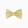 Yellow Pre-Knotted Silk Bowtie - Small Flower Pattern